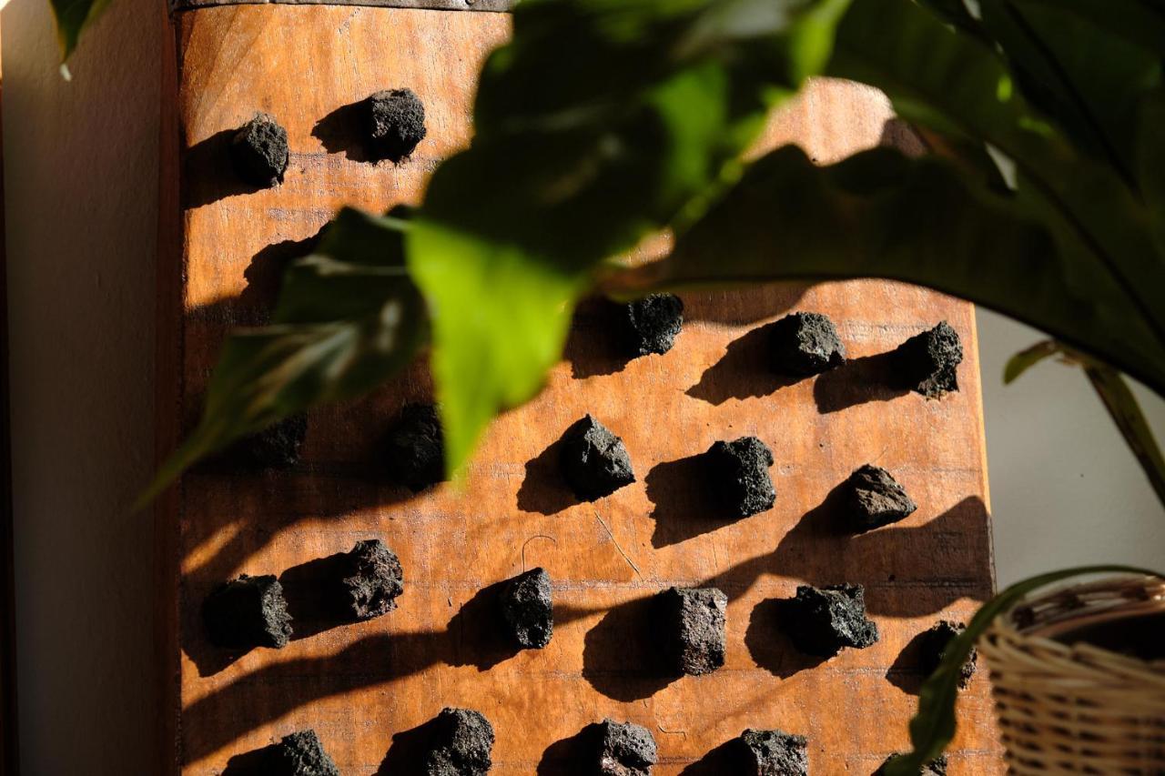 Ecofinca Aulaga Masdache Kültér fotó